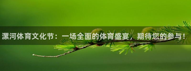 MK体育官网下载平台注册要钱吗是真的吗:漯河体育文化节:一场