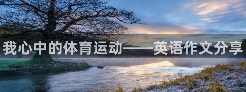 MK体育官方正版app五金厂:我心中的体育运动——英语作文分